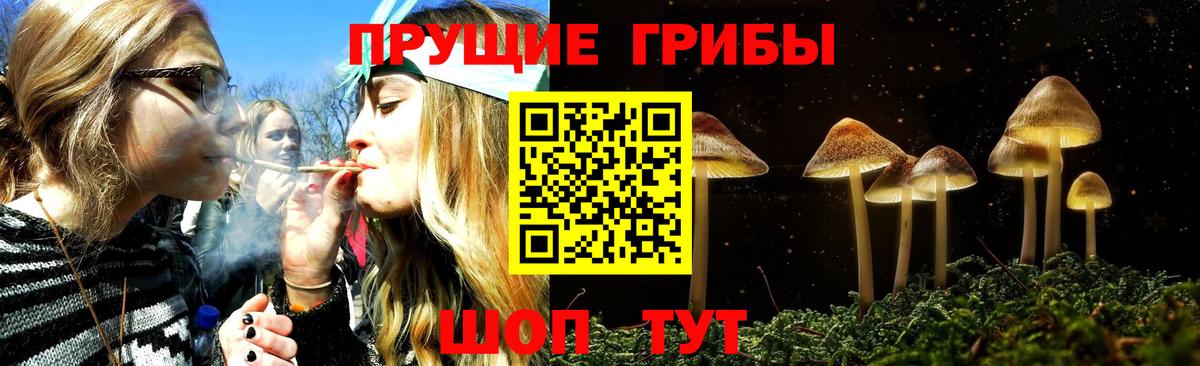 Псилоцибиновые грибы MAGIC MUSHROOMS Острогожск
