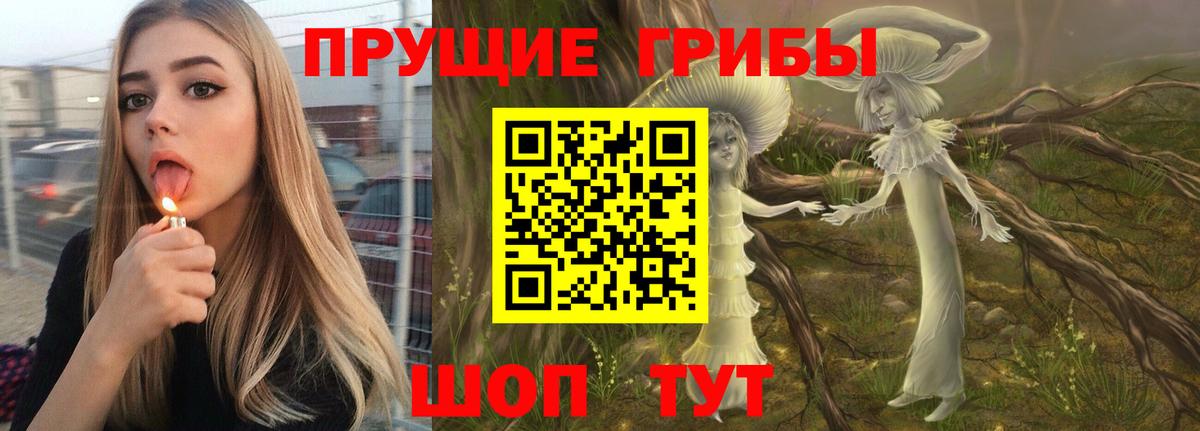 Галлюциногенные грибы прущие грибы  цены наркотик  Острогожск  Галлюциногенные грибы Magic Shrooms  Вход с VPN 